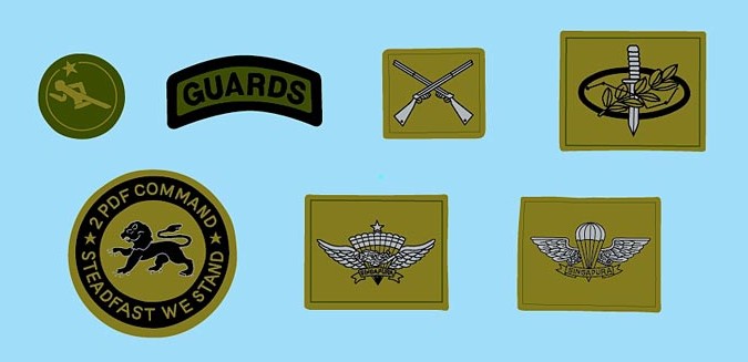 SAF - Formation - Badge - Waterslide Decals - Sample