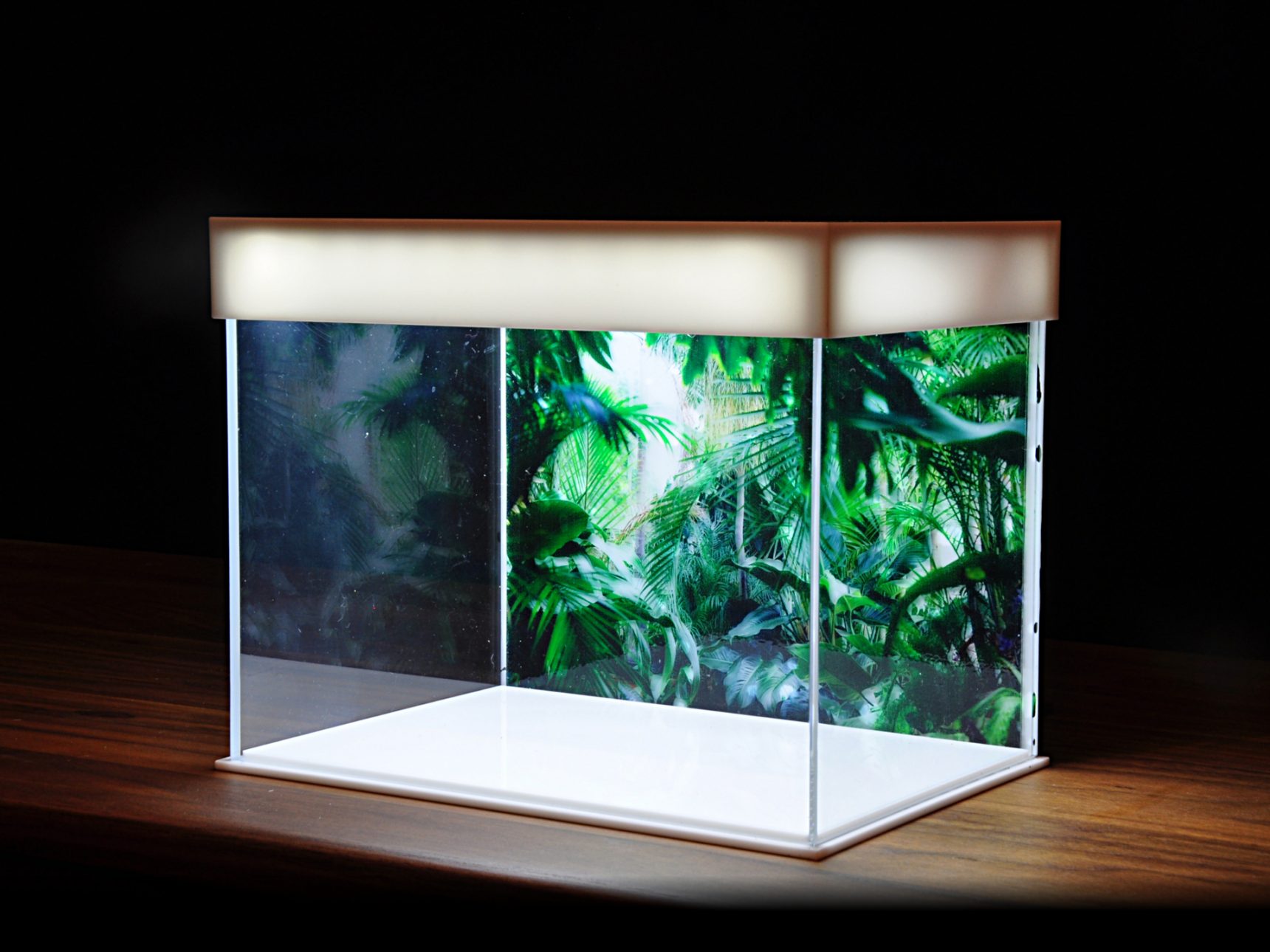 Product-BA011-Acrylic-Case-with-Light-Medium-side-e1526967315810.jpg